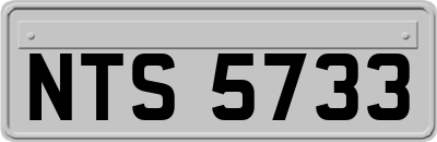 NTS5733