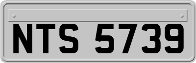 NTS5739