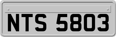 NTS5803
