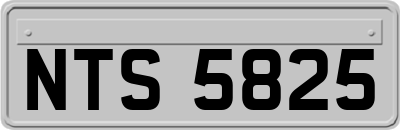 NTS5825