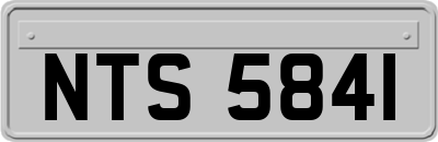 NTS5841