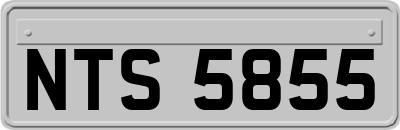 NTS5855