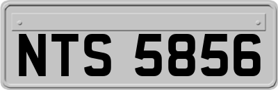 NTS5856