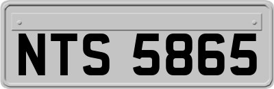 NTS5865