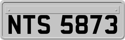 NTS5873