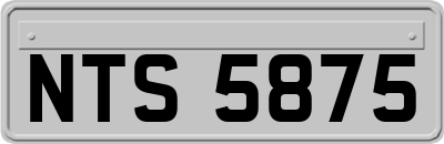 NTS5875