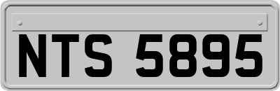 NTS5895