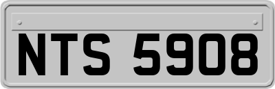 NTS5908
