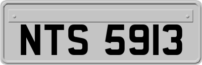 NTS5913