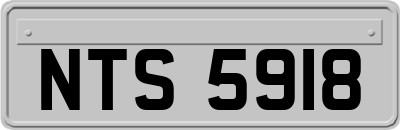 NTS5918