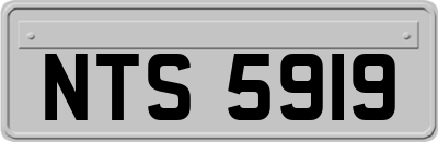 NTS5919