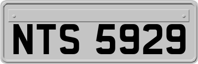 NTS5929