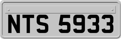 NTS5933