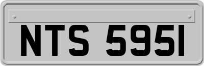 NTS5951