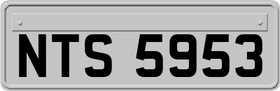 NTS5953