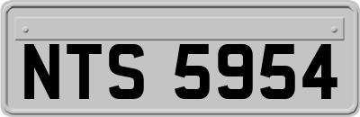 NTS5954
