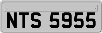 NTS5955