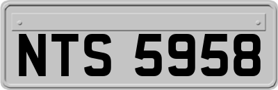 NTS5958