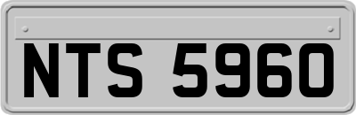NTS5960