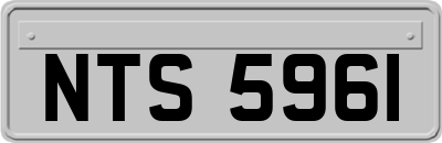 NTS5961