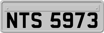 NTS5973