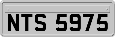 NTS5975