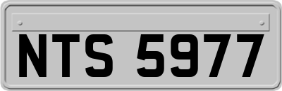 NTS5977