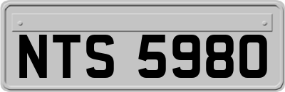 NTS5980