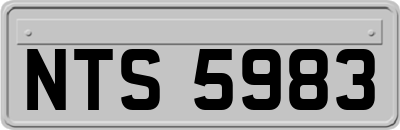 NTS5983