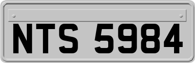 NTS5984