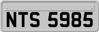 NTS5985