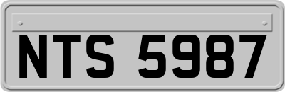 NTS5987