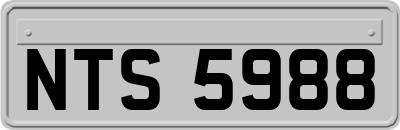 NTS5988