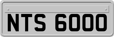 NTS6000