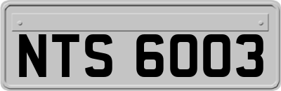 NTS6003