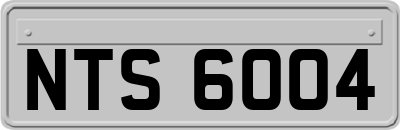 NTS6004