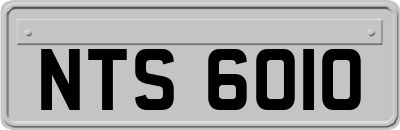 NTS6010