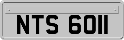 NTS6011
