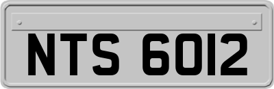 NTS6012