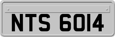 NTS6014