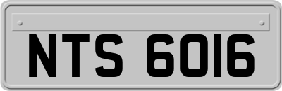 NTS6016