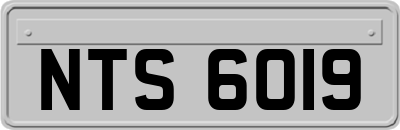 NTS6019