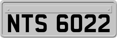 NTS6022
