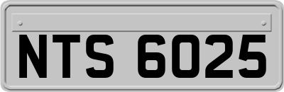 NTS6025