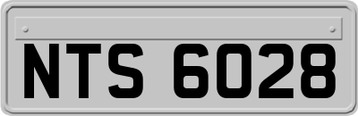 NTS6028