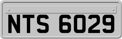 NTS6029