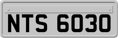 NTS6030