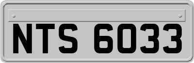 NTS6033