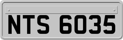 NTS6035