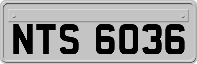 NTS6036